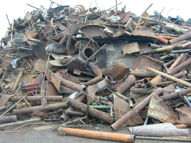 Sektörü / Firma Adı